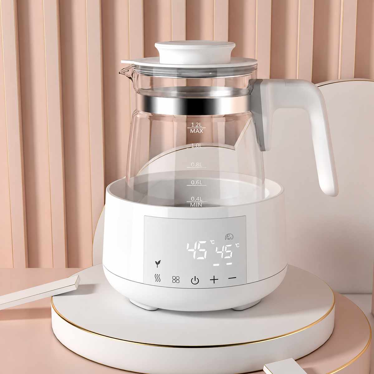 Electric thermostatic kettle