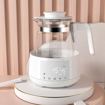 Electric thermostatic kettle