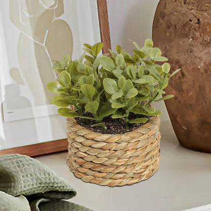 11cm Artificial Eucalyptus Plant