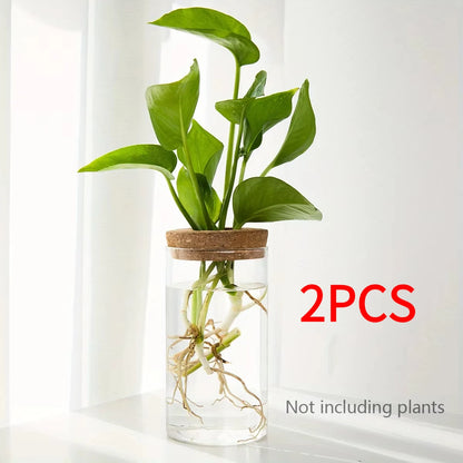 Glass Hydroponic Plant Vase