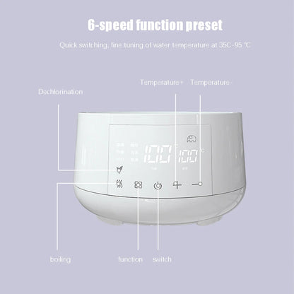 Electric thermostatic kettle