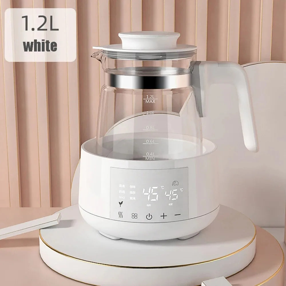 Electric thermostatic kettle
