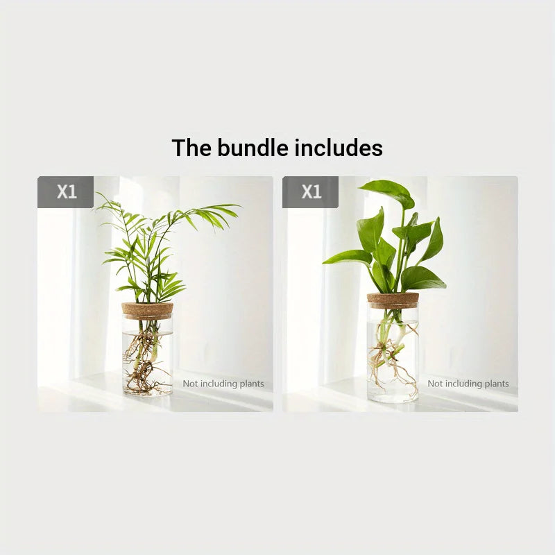 Glass Hydroponic Plant Vase