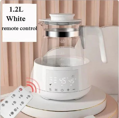 Electric thermostatic kettle