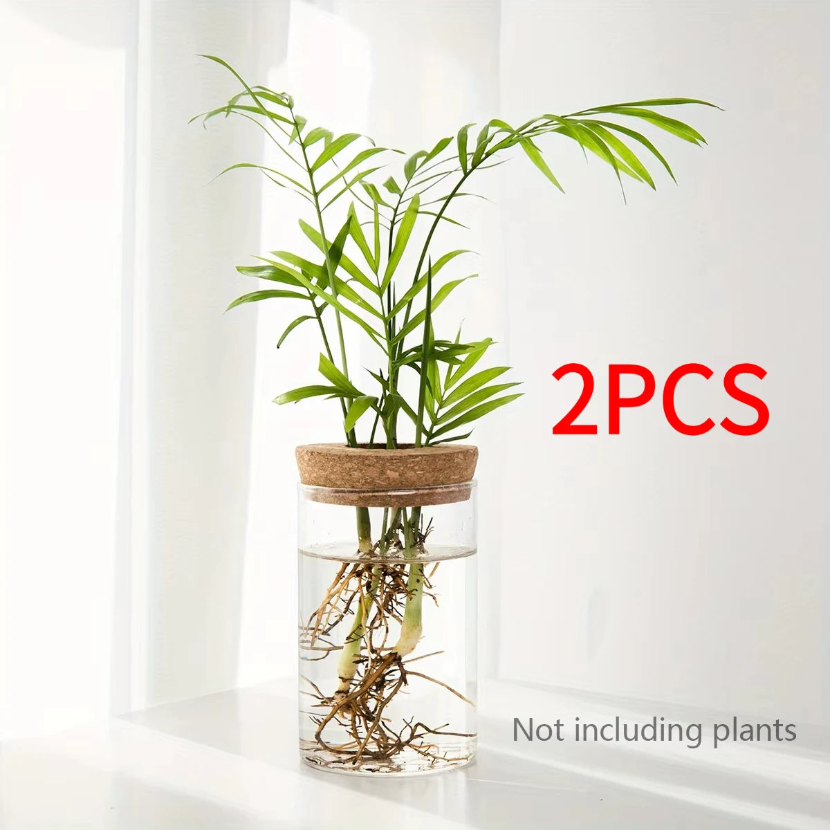 Glass Hydroponic Plant Vase