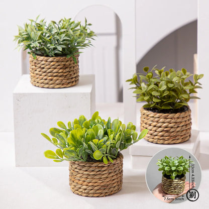 11cm Artificial Eucalyptus Plant