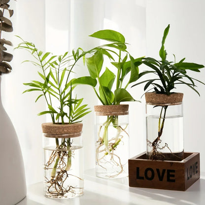 Glass Hydroponic Plant Vase