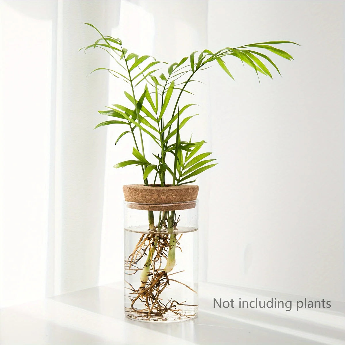 Glass Hydroponic Plant Vase