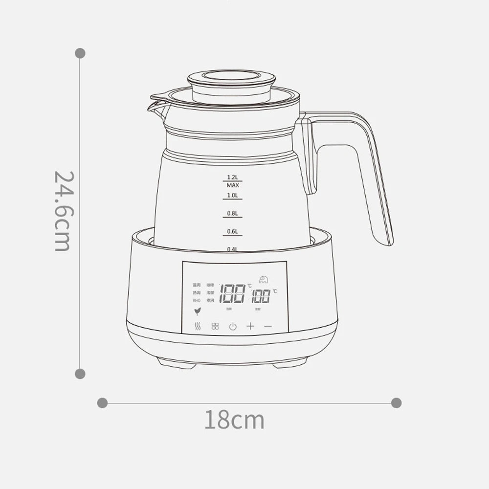 Electric thermostatic kettle