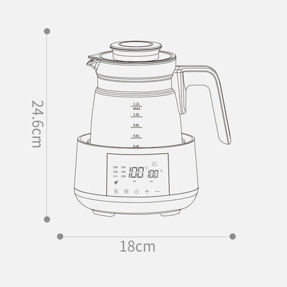 Electric thermostatic kettle